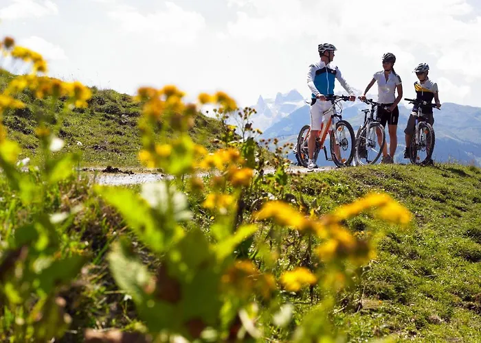 Helmreich-5 By Interhome Sankt Gallenkirch